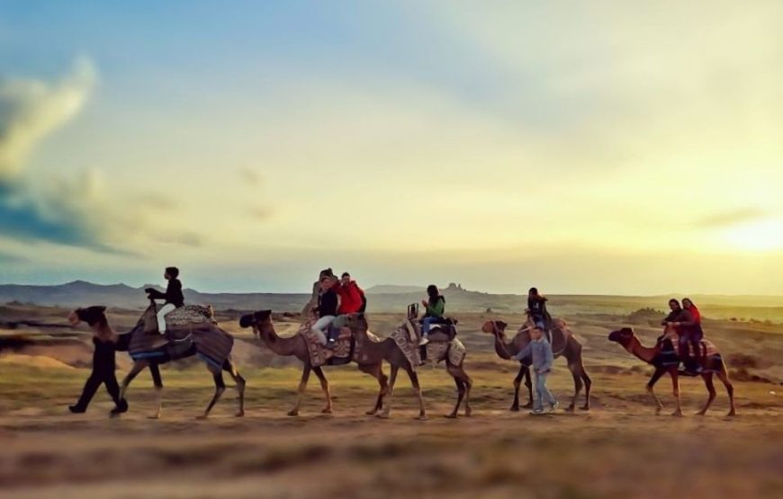 Camel Tour Cappadocia