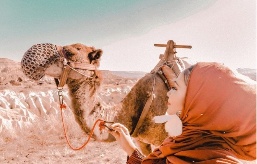 Camel Tour Cappadocia